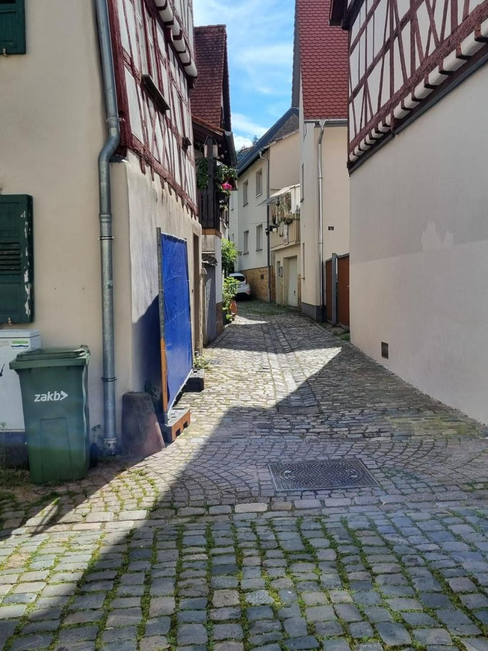 Ferienwohnung Heppenheim An Der Bergstrasse Whg 1 Exterior photo